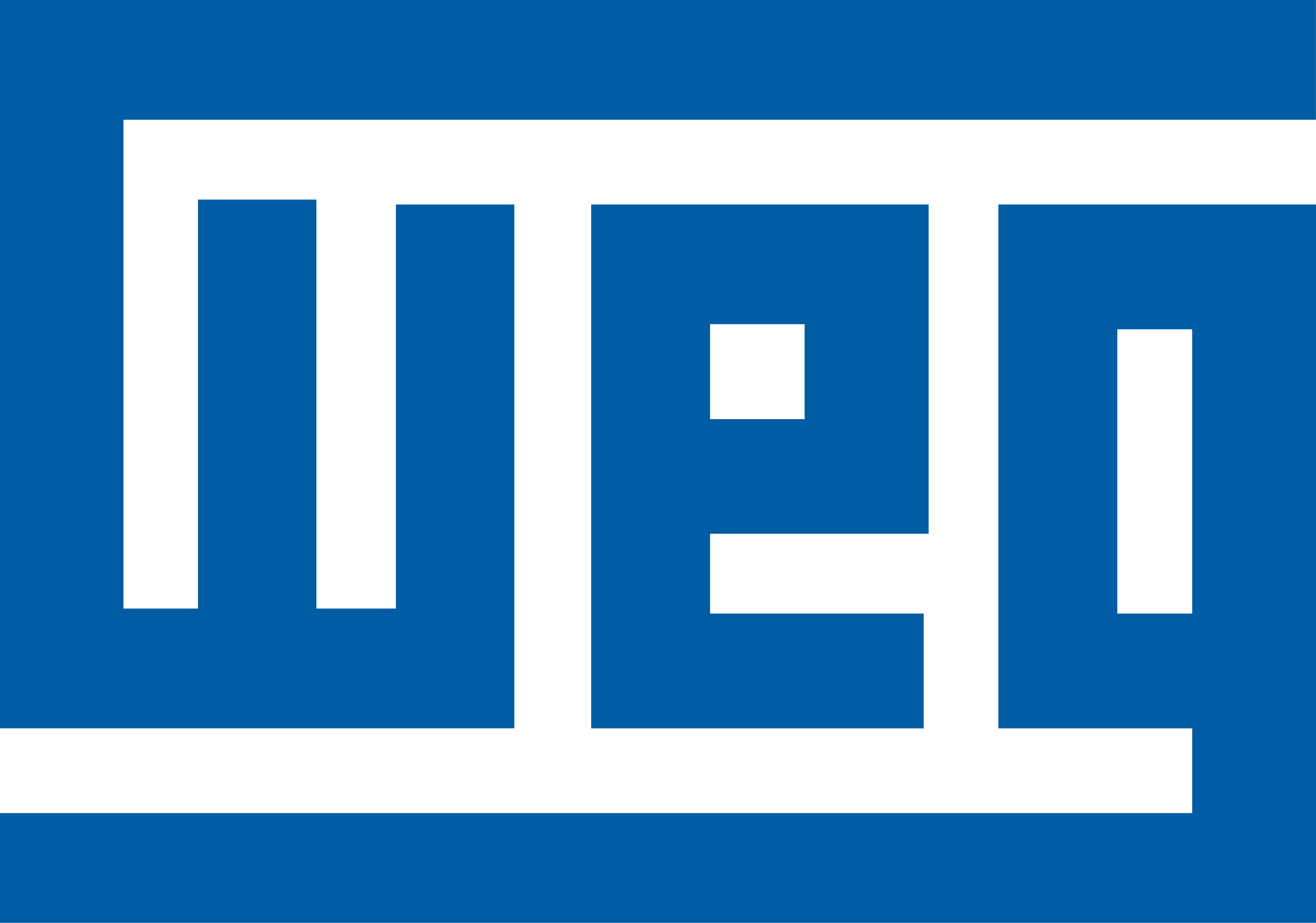 WEG Electric